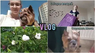 Мой день: сборка вещей, стрижка Моти, спортивное утро, тихий влог/ my life