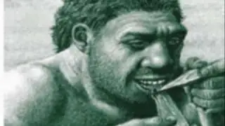 evolution of man
