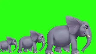 Animal Stampede - Elephant Running green screen #greenscreen #greenscreenanimal #animals