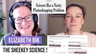 Misconduct in biomedical research, science publishing & fake papers - Elizabeth Bik