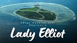 Lady Elliot Island day trip