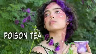 Alisha Liston - Poison Tea [LIVE Performance Music Video]