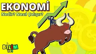 WHAT IS ECONOMY? HOW DOES IT WORK? | Short Documentary