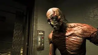 ЧТО ЗА ЗВУКИ? / zxcursed
