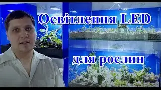 Освітлення LED для рослин