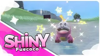 [Live] Shiny Fuecoco in 1,188 Eggs via Masuda Method!