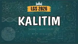 Kalıtım | 8. Sınıf 