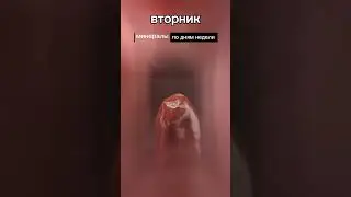 #камни
