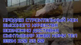 m 200618 6ab7c8ae 9db3 447f 8646 a51ac5606a4e