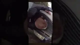 Батёк 9 #shorts