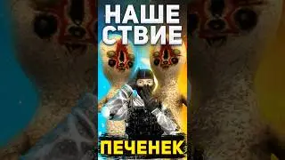 Две печеньки :D 
