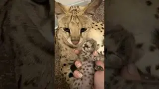Лилу молодая мамочка🥰 