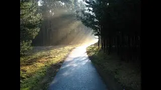 Welcome To The Journey