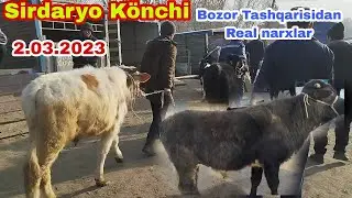 Sirdaryo Könchi Bozorni Tashqarisidan Real narxlar 2.03.2023