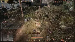 Black Desert гринд
