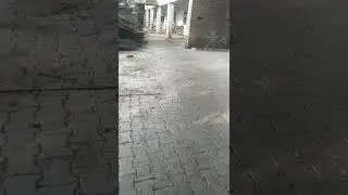मंकी किंग वीडियो 