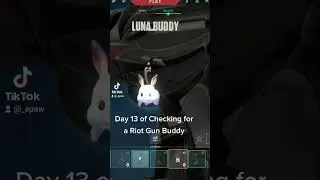 #gaming #valorant #valorantshorts #valorantclip #valorantclips #riotgunbuddy