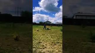 Эх; газон