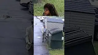 BEAR IN THE TRASH?! 🐻 ~ Stresss Reacts