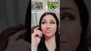 Я же думаю... 🤣 Беру обе, да?