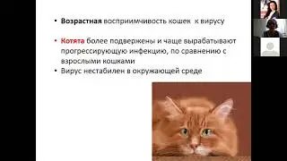 6.10.21 Вебинар ТД Простор и МЗВС Вирусная лейкемия кошек