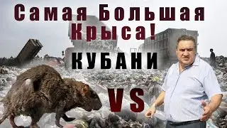 Полтавская Свалка - провал 