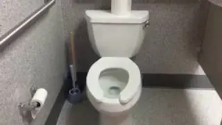 Необычная планировка туалета