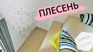 VLOG: ПЛЕСЕНЬ АТАКУЕТ