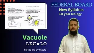 Vacuole | Vacuole structure and function | class 11