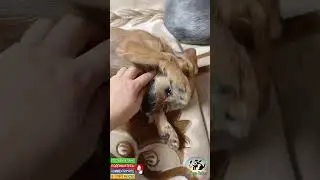 Наш новенький мальчишка