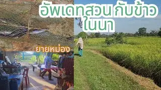 อัพเดทสวนนานมากแล้วที่ไม่ได้อัพเดท❗❗