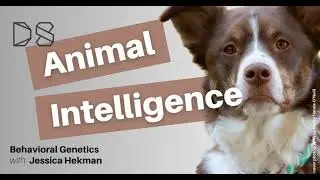 Behavioral Genetics