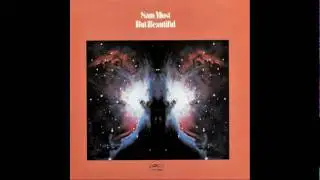 Sam Most - But Beautiful