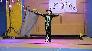 Ein fantastischer Zirkustag