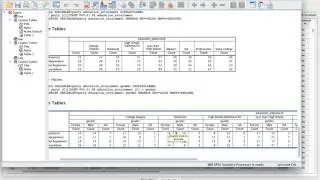 Lesson #7: Custom Tables in SPSS
