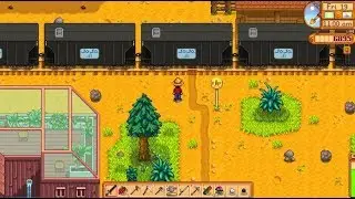 Train! | Stardew Valley