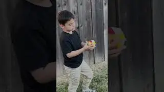 Catch the Pokemon