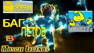 КАК ЗАБАГАТЬ ПЕТА В MUSCLE LEGENDS