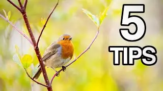 5 Tips for Photographing in Harsh Sunlight (Spring & Summer)
