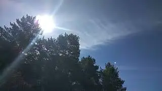 Песня о бабочке