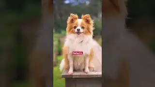 Henry Monologue social star
