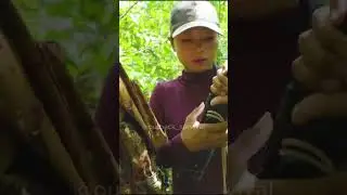 Building a Quick Soil Sack Shelter Before Nightfall   #survival #shorts #short  #camping