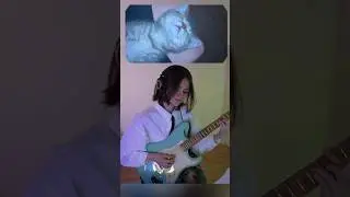 Perfect Trend Kitten🐈