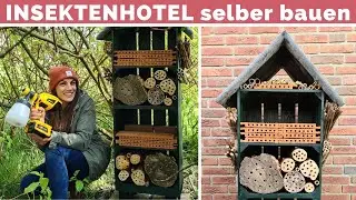 Insektenhotel bauen - DIY - Wildbienenhotel richtig selber bauen - Insektenhaus aus Holzkisten