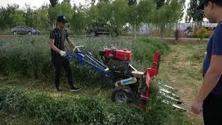 alfalfa cut machine /alfalfa reaper/alfalfa cutter
