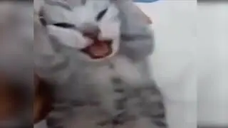 АВТОР ЗДОХ И ВИДЕО НЕ БУДЕТ 35587458369863698464986598658596 МИЛЕОНАВ ЛЕТ😡👹👺