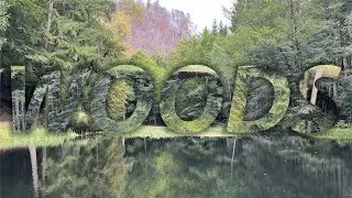 Forest walk / no words