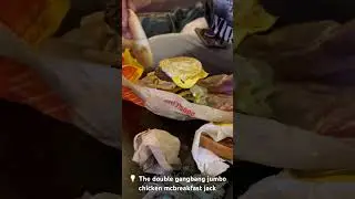 The final boss of fast food sandwiches: the double gangbang jumbo chicken mcbreakfast jack