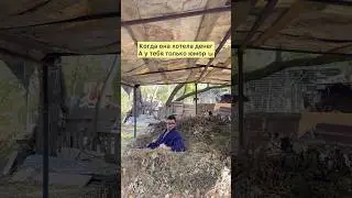 Юмор наше все 😁
