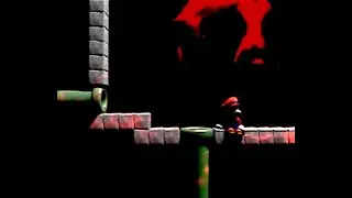 MARIO Victim #1